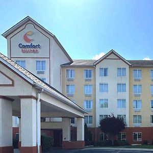Comfort Suites Airport